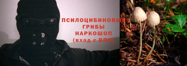 прущие крисы Абаза