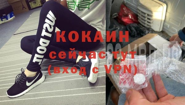 прущие крисы Абаза