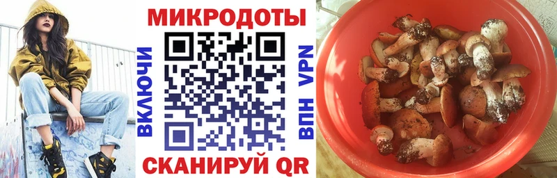 Галлюциногенные грибы Magic Shrooms купить наркотики цена блэк спрут зеркало Камень-на-Оби